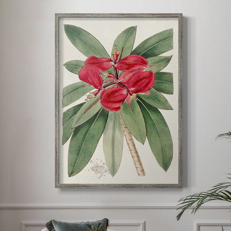 Impression encadrée FloraOf TheTropics III - bois massif, H 15 po x l 12 po