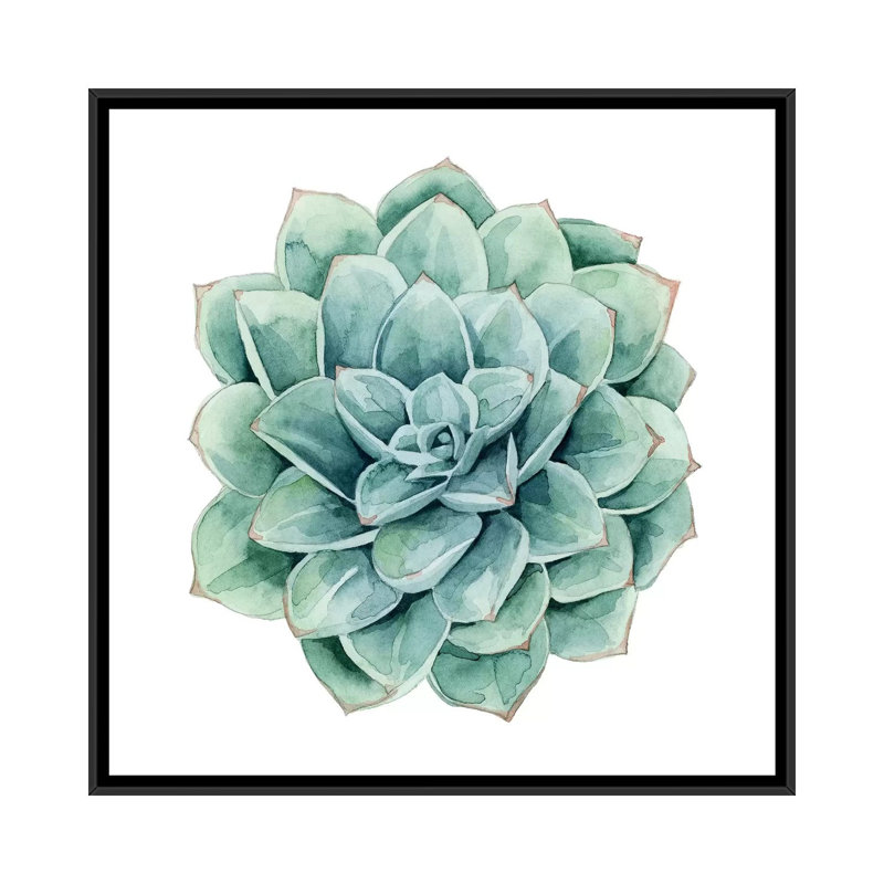 « succulent nuanciers i », impression sur toile, H 18 po x l 18 po x P 1,5 po, Toile encadrée noire, Pas de tapis