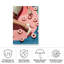 Rose pique-nique 02 sur toile-1714845003