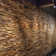 Matrix 12" x 48" Reclaimed Engineered Wood Wall Panelling in Brown