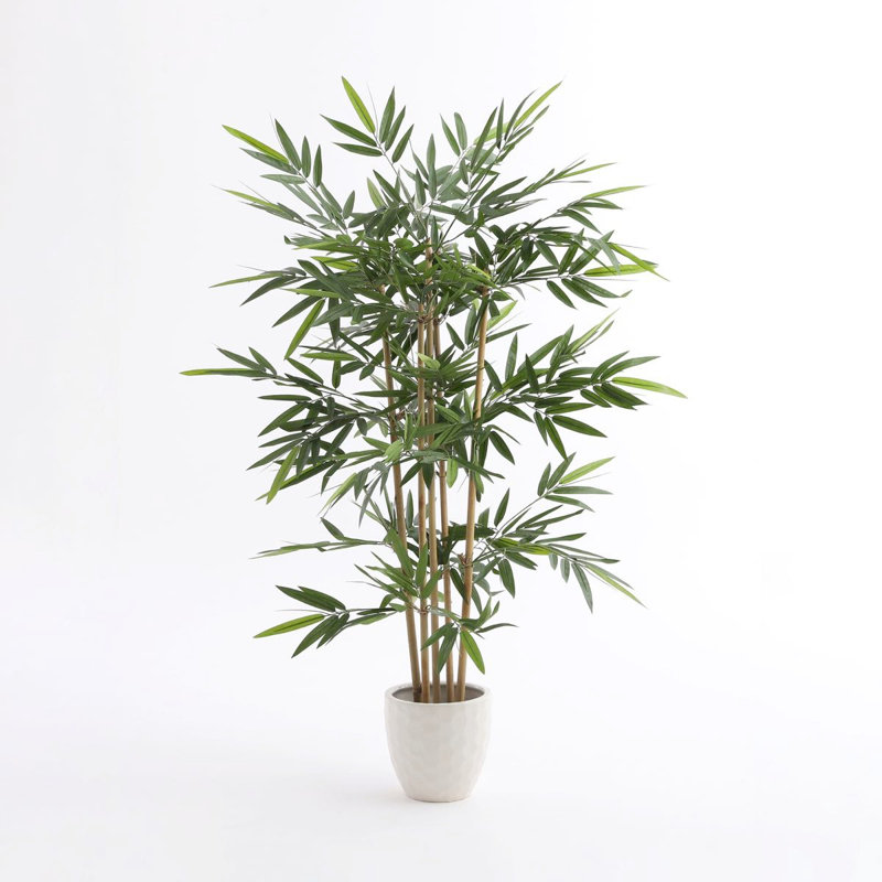 150cm Bamboo Tree in Pot