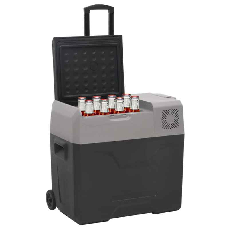 Ayviana 30 L Wheeled Ice Chest Cooler, Black