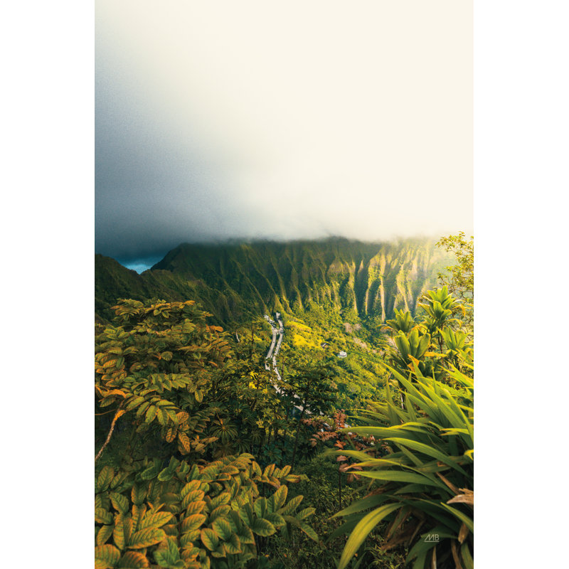 Hawaiian Tropics par Max Blakesberg Studios, H 48 po x l 32 po