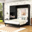 Grand lit escamotable avec armoire de rangement et éclairage DEL-1401233800