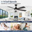 20.7cm Ceiling Fan