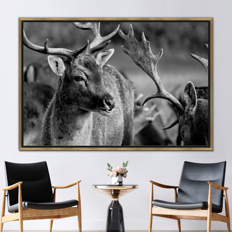 Superbe affiche murale «Deer Wildlife» - idéale pour les amateurs de décoration de loft et d'animaux, H 30 po x l 41 po, Doré