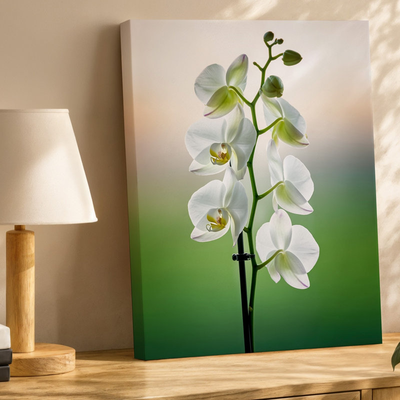 Toile, composition en gros plan d'orchidées blanches délicates présentant leur art mural, pétales veloutés doux et détails complexes