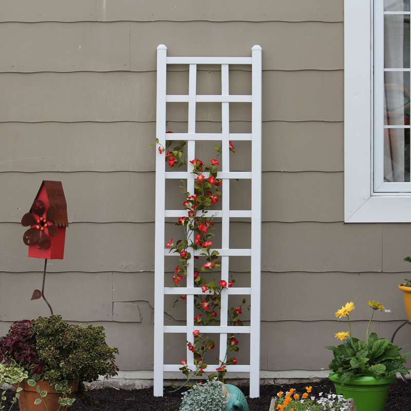 Ammaria 75'' H x 22'' W Polyvinyl Chloride (PVC) Lattice Panel Trellis, White