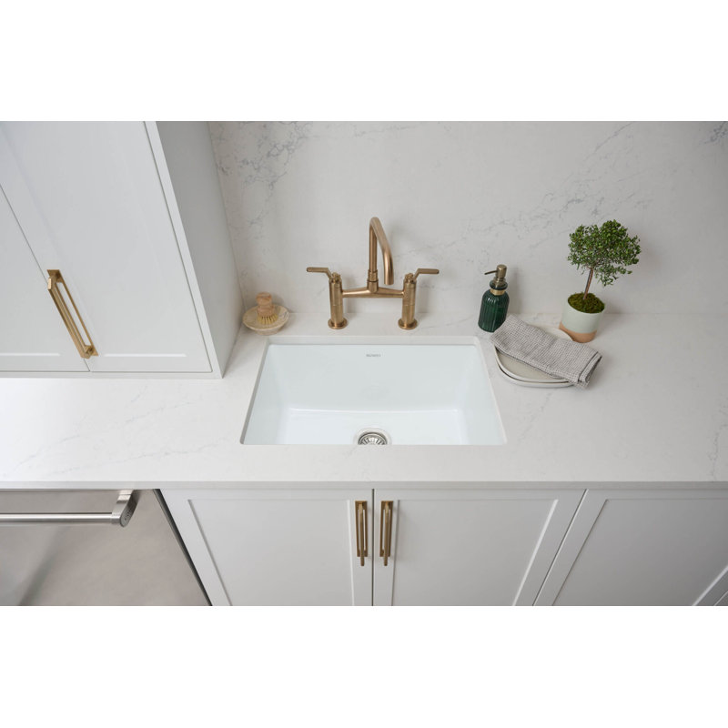 Fiamma 30" L x 18" W Drop-In Kitchen Sink
