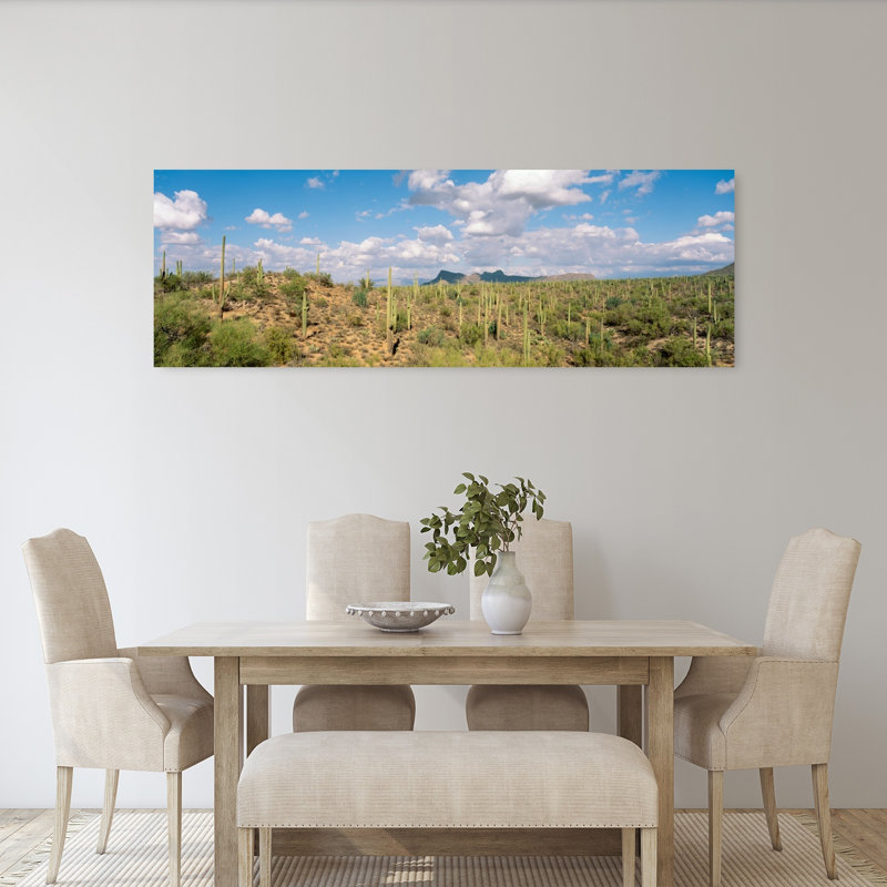 Saguaro National Park, Tucson, Az, États-Unis, H 20 po x l 60 po