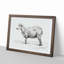 Standing Sheep by Jean Bernard - Framed Print-55615399-55615403
