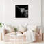 Realistic Black And White Highland Cow Photography Print by Oliver Gal-69341782-69341779