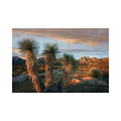Yucca and Organ Mountains Near Las Cruces, New Mexico 1 Piece Wrapped Canvas Wall Art