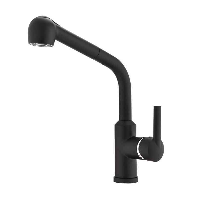 DORNBERG Pull Out Kitchen Faucet, Matte Black