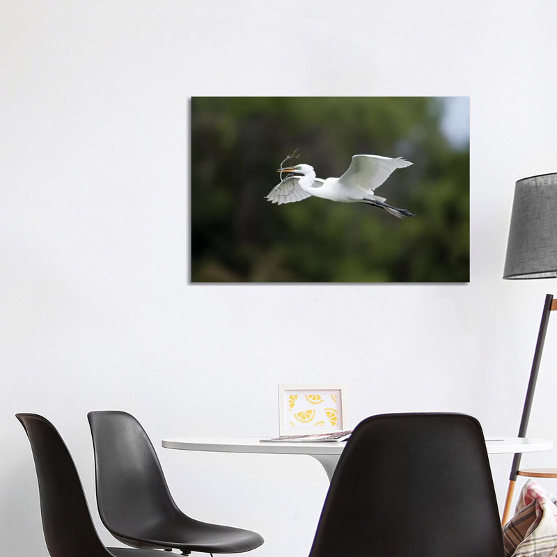Great Egret Carrying Nesting Material, Florida 1 Piece Wrapped Canvas Painting, 101.6 cm H x 66.04 cm W x 1.91 cm D