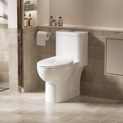 Toilette une pièce 17 po de hauteur ADA avec siège à double chasse et fermeture en douceur en céramique blanc brillant