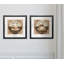 " Cappuccino " 2 - Pieces-2008841106