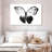 Brampt Black And White Butterfly-107696305