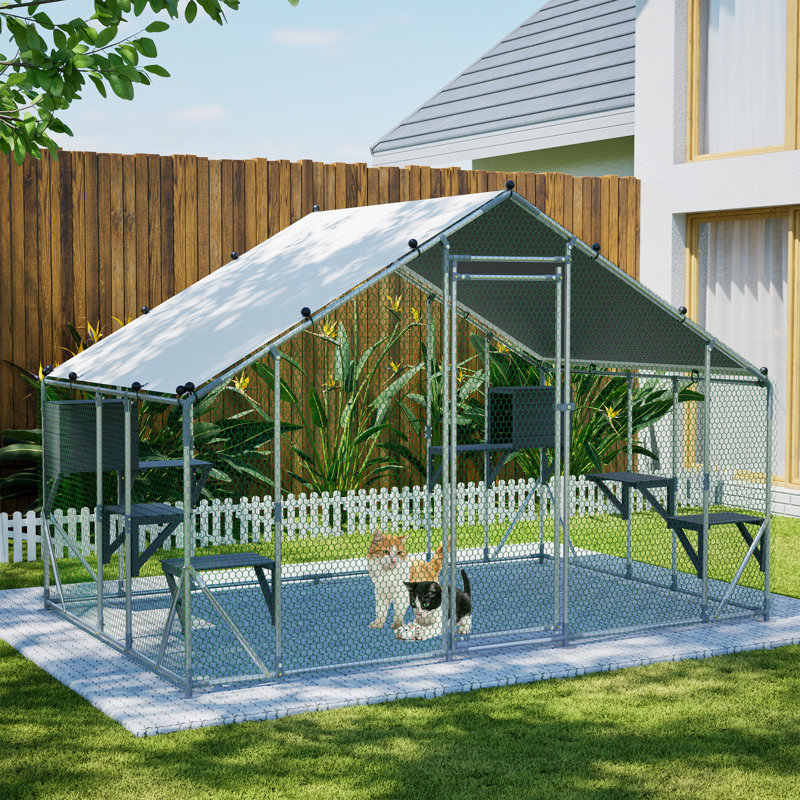 Cage à chat d'extérieur en métal extra robuste 3X2m