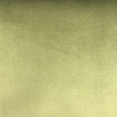 Solid Velvet | Velluto Fabric