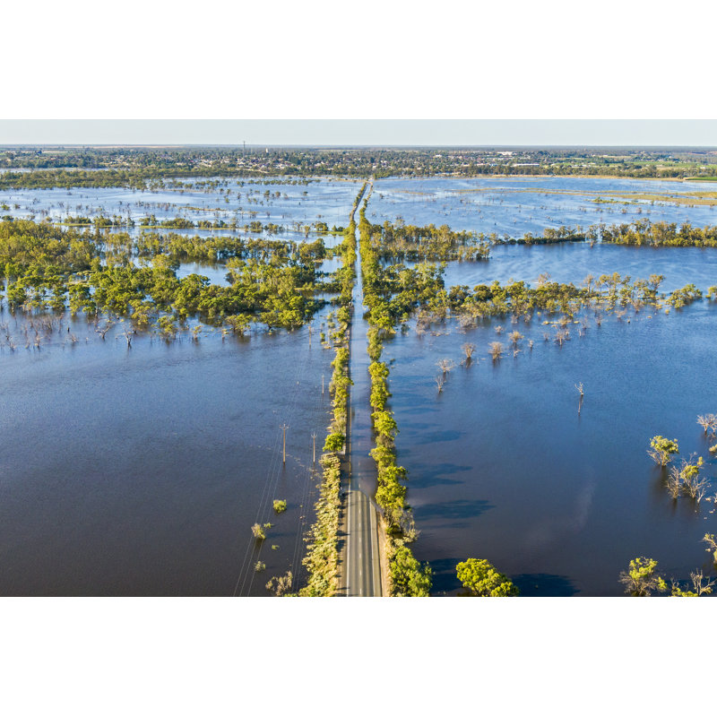 Aerial View Flooded Tree by Beyondimages, 24" H x 36" W