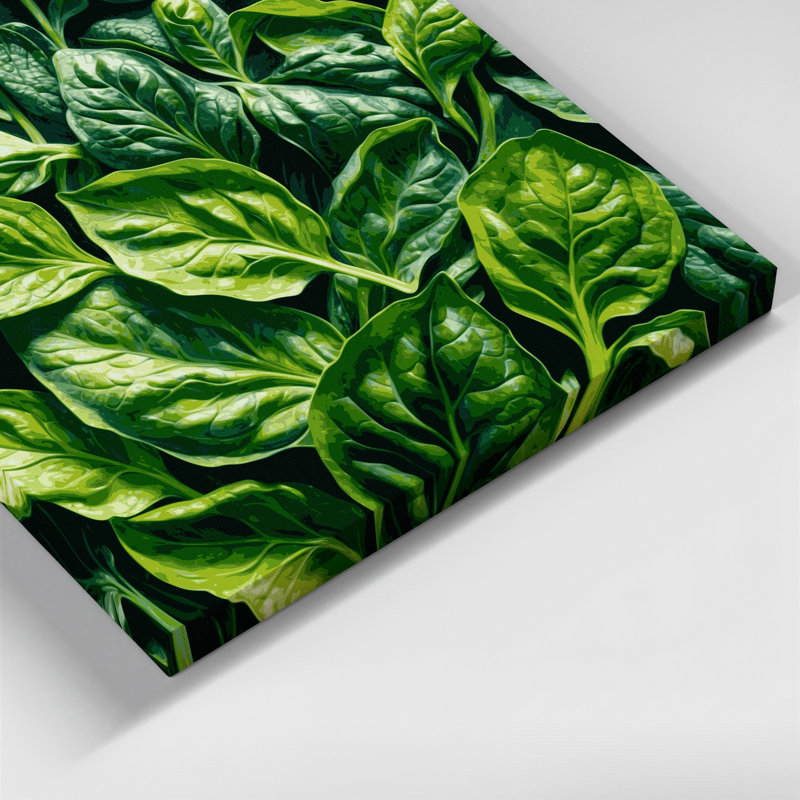 Légumes, épinards, Spinacia oleracées, art mural sur toile verte, 11" H x 14" W