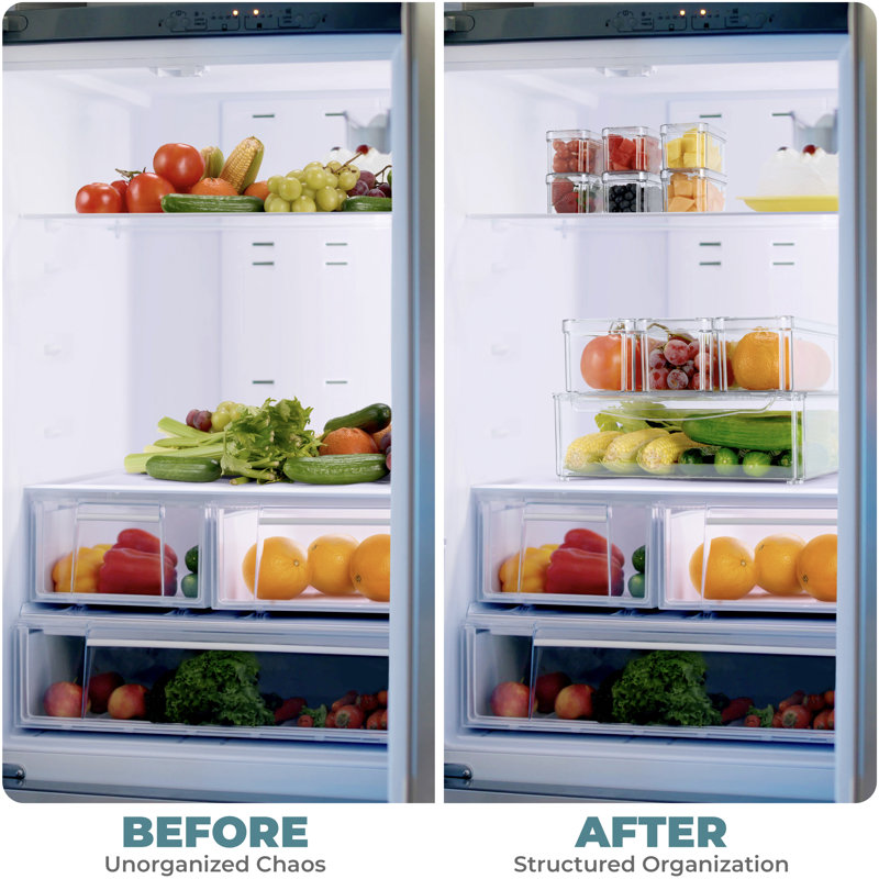  Refrigerator Storage Bins with Lids 10 Pack
