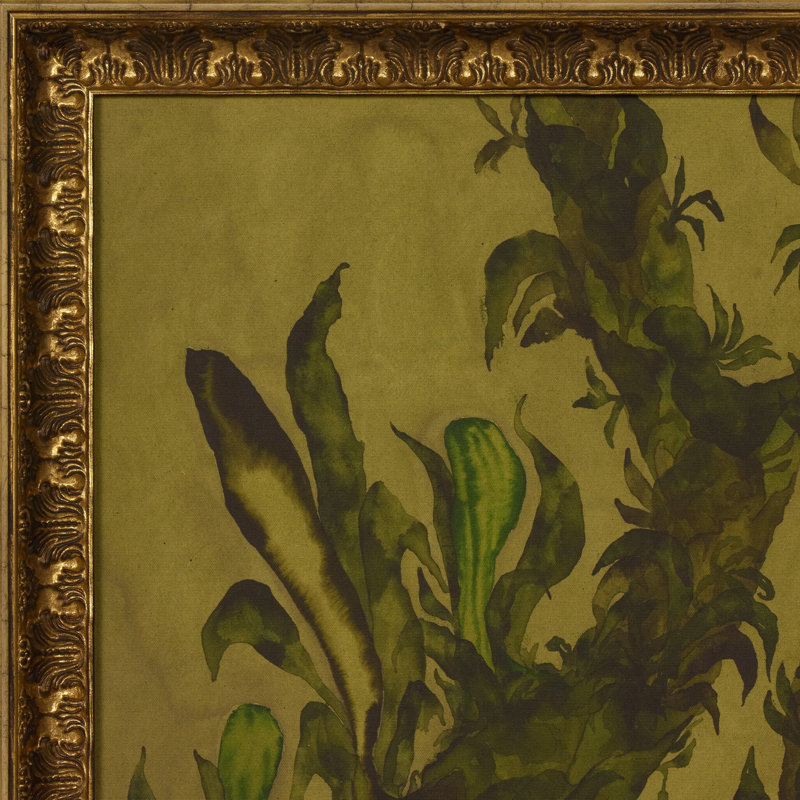 Epiphytes By Molly Franken, H 32.25" x W 24.25"