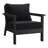 Deep Seating Chair With Cushions (Set Of 2)-873420499-873420503