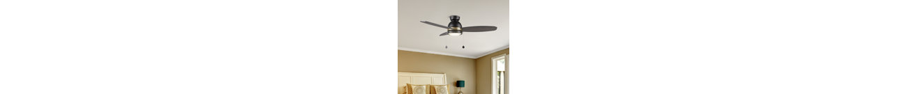 Ceiling Fan with LED Lights