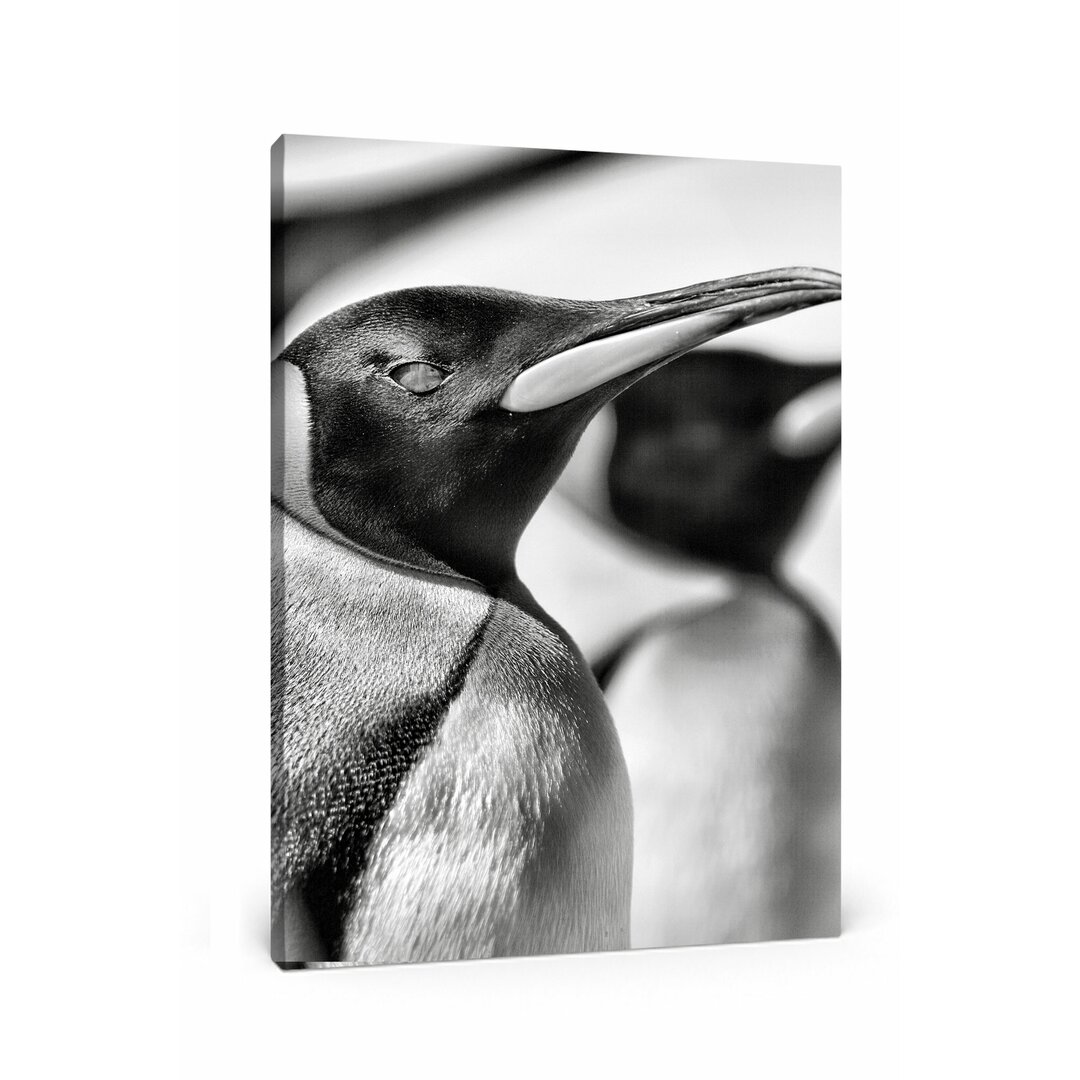 Leinwandbild Pinguine