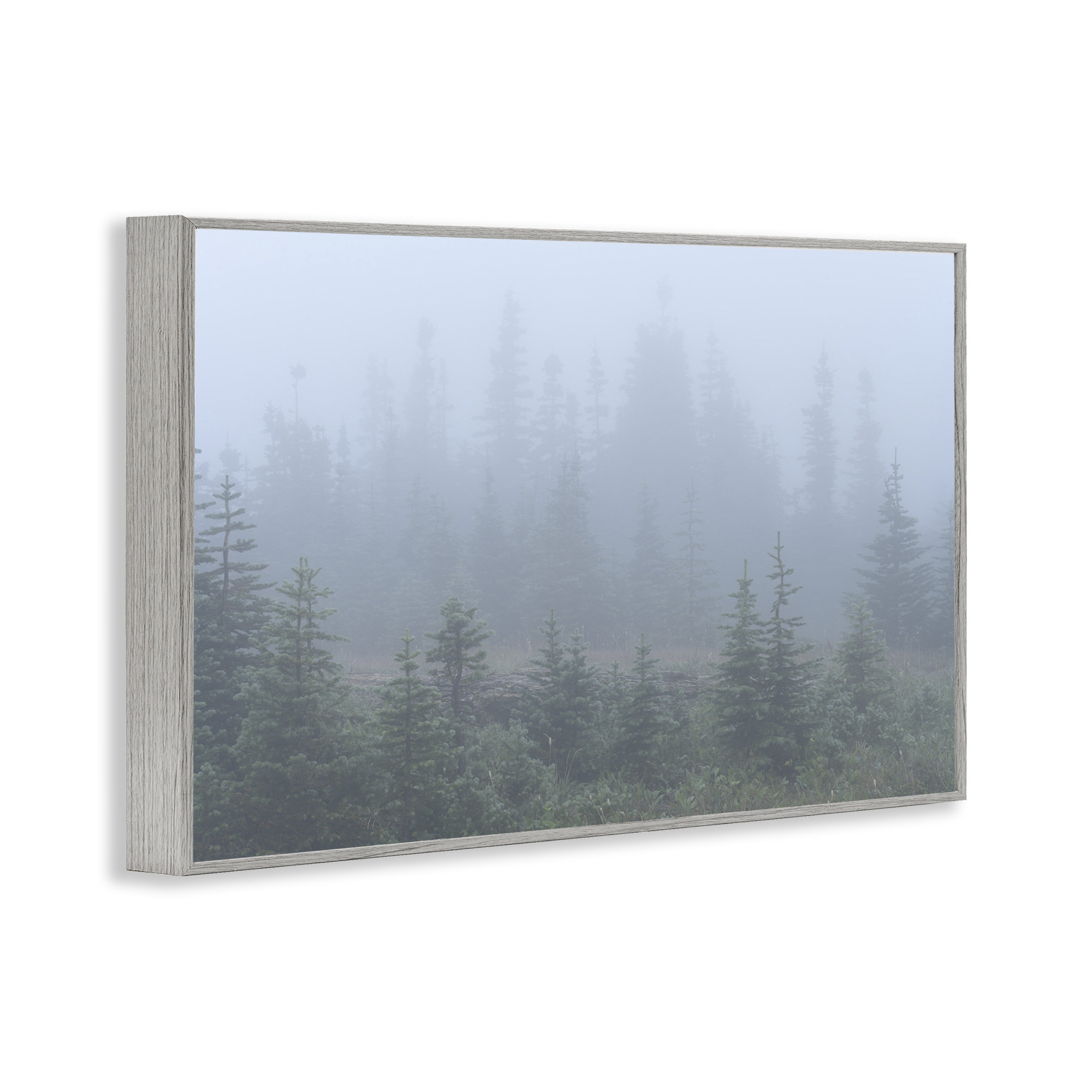 Union Rustic Foggy Forest Trees Framed Giclee Art by Hunter Page ...