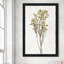 «Farmhouse Pressed Flower II» par Natalie Carpentieri - Peinture-1285158872-1285156897