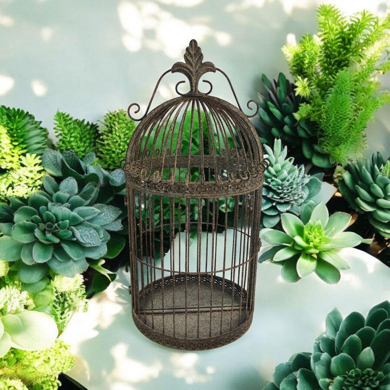 Rusty Garden Wall Mirror Bird Cage, Grey