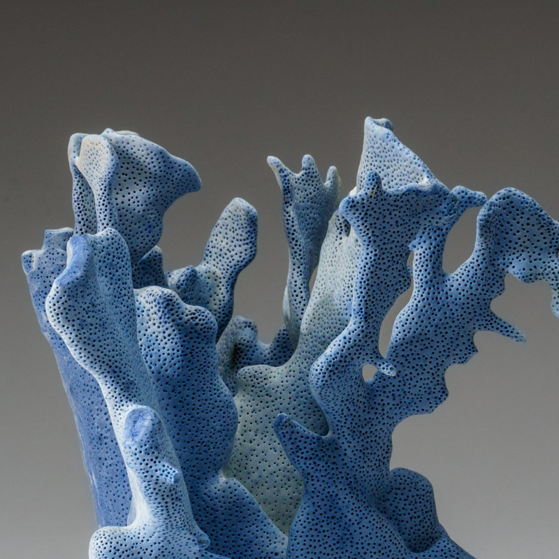Genuine Blue Ridge Coral (8", 3 Lbs)