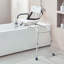 Bathroom Transfer System