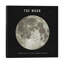 The Moon by Terry Fan - Wrapped Canvas Print-42159521
