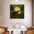 Brampt Moonlight Lodge I