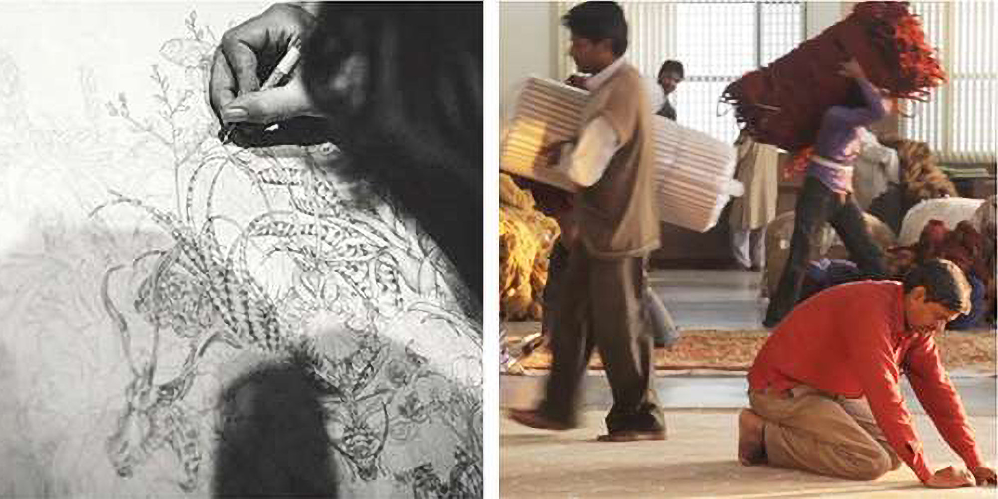 Dash and Albert Rugs Solid Color Rug & Reviews Wayfair Canada