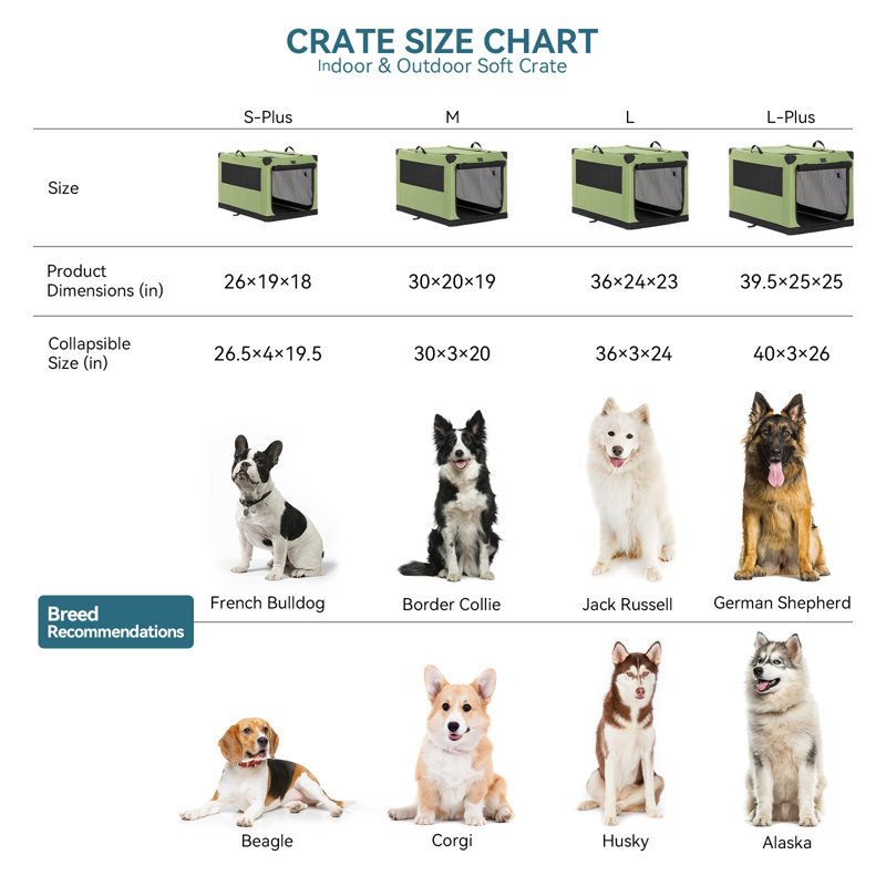 Cage pour chien réglable Tucker Murphy Pet ™, Grand (H 23 po x l 36 po x P 24 po), Vert