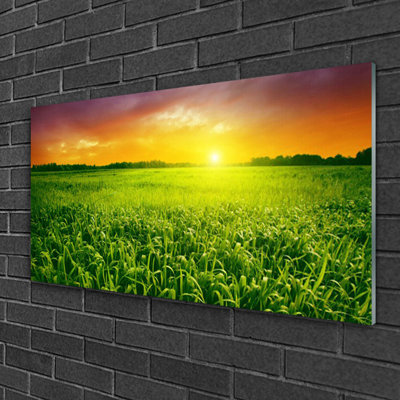 Floral Cereal Field Sunrise - No Frame Print on Glass