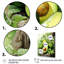 «Fruit Lush Avocado I», reproduction sur toile flottante-1189243084-1189243074