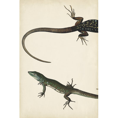 Lizard Diptych I 1 Piece Wrapped Canvas Painting