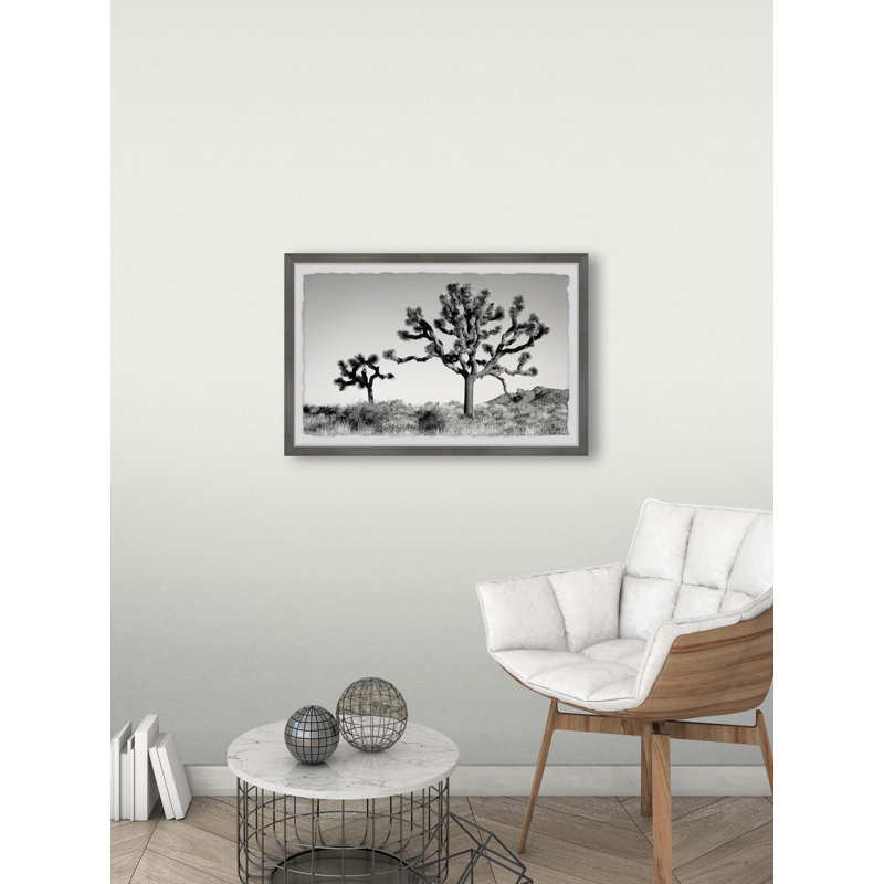 Mountain Top Trees - Single Picture Frame Print, 61cm H x 91cm W x 3.81cm D