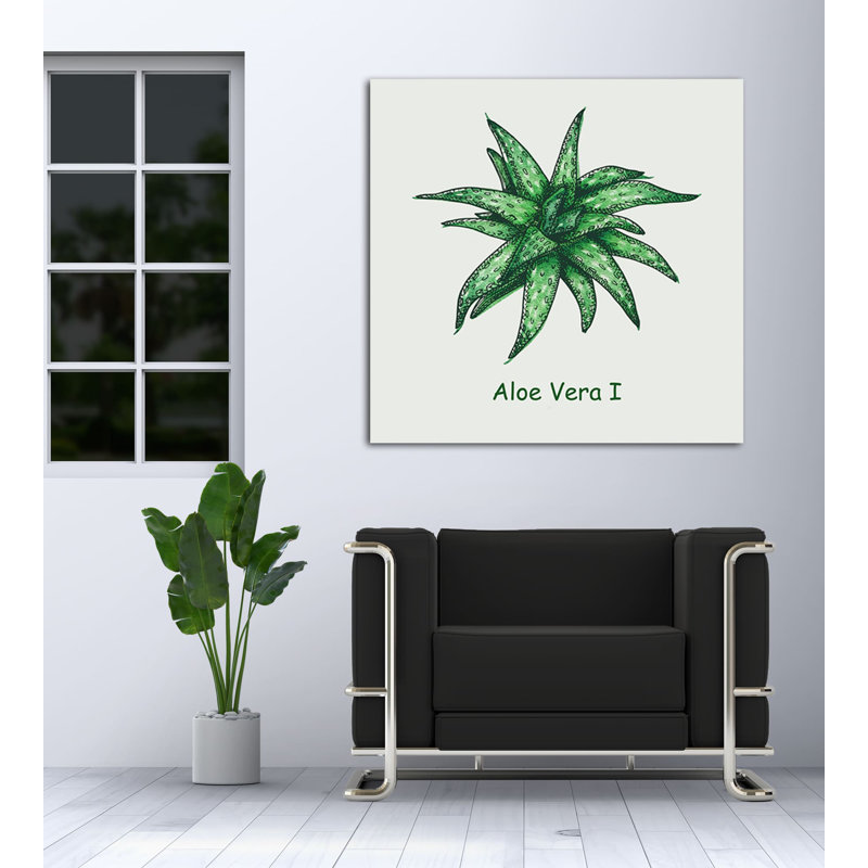" Aloe Vera I ", 12" H x 12" W x 1.5" D