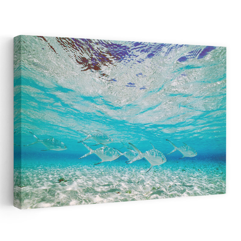 School of Fish submerged Contemporary Fish Architecture Art, H 32 po x l 48 po