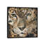 «Leopard», impression sur toile-29483650-73625863-73625868