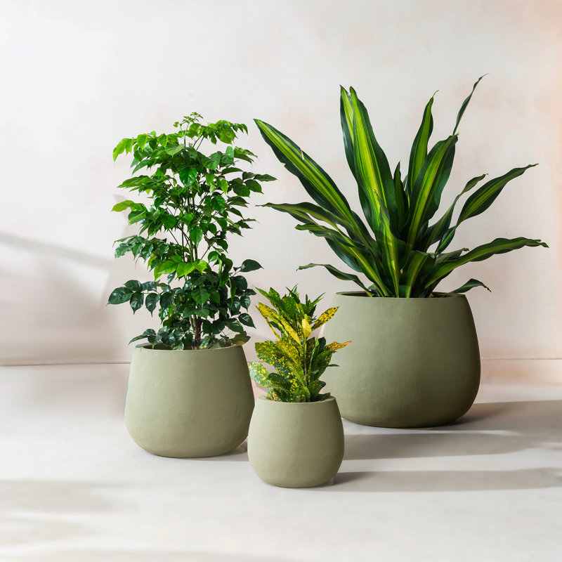 Jardinière ronde en métal faite à la main à l'intérieur / à l'extérieur en vert / vert sauge avec drainage
