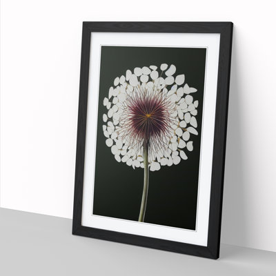 Lianni Dandelion Painting - Picture Frame Print