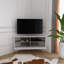 Aura TV Stand for TVs up to 55 Inch-1626559068